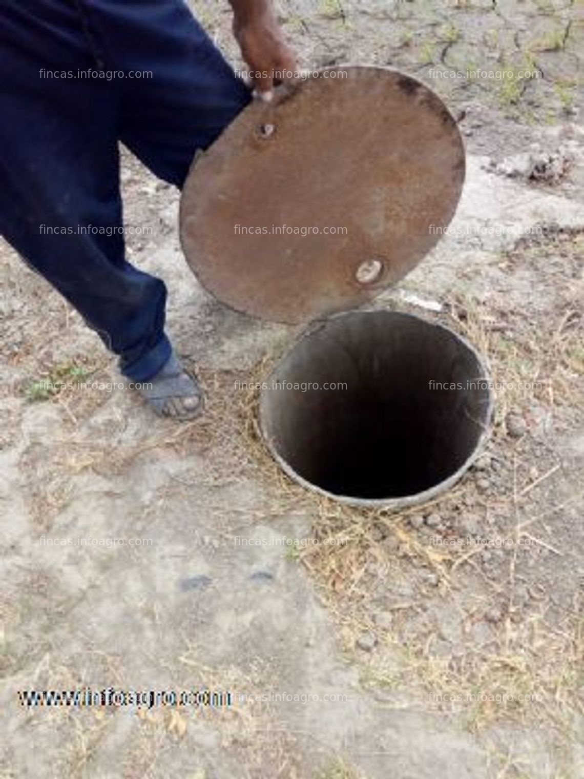 Fotos de En venta  terreno agrícola de 59 hectáreas en túcume, lambayeque