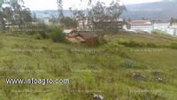 Fotos de En venta  terreno 13 hectareas amazonas - chachapoyas