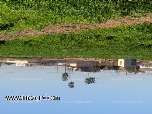 A la venta finca para cultivo de 1,83 ha con pantano en san javier, murcia
