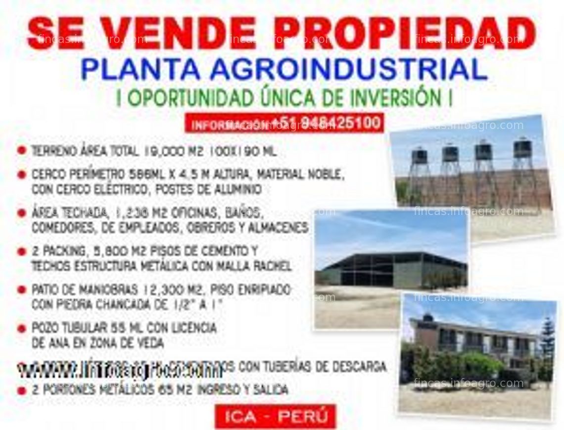 Fotos de En venta  planta agroindustrial - ica