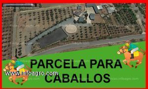 A la venta finca para caballos a 10 mint de málaga