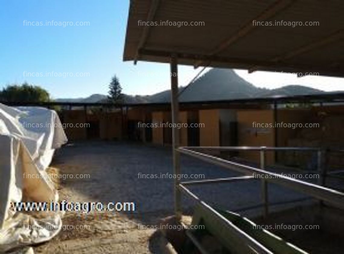 Fotos de A la venta finca para caballos a 10 mint de málaga