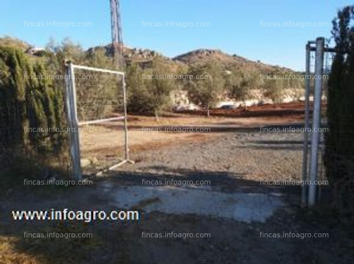 Fotos de A la venta finca para caballos a 10 mint de málaga