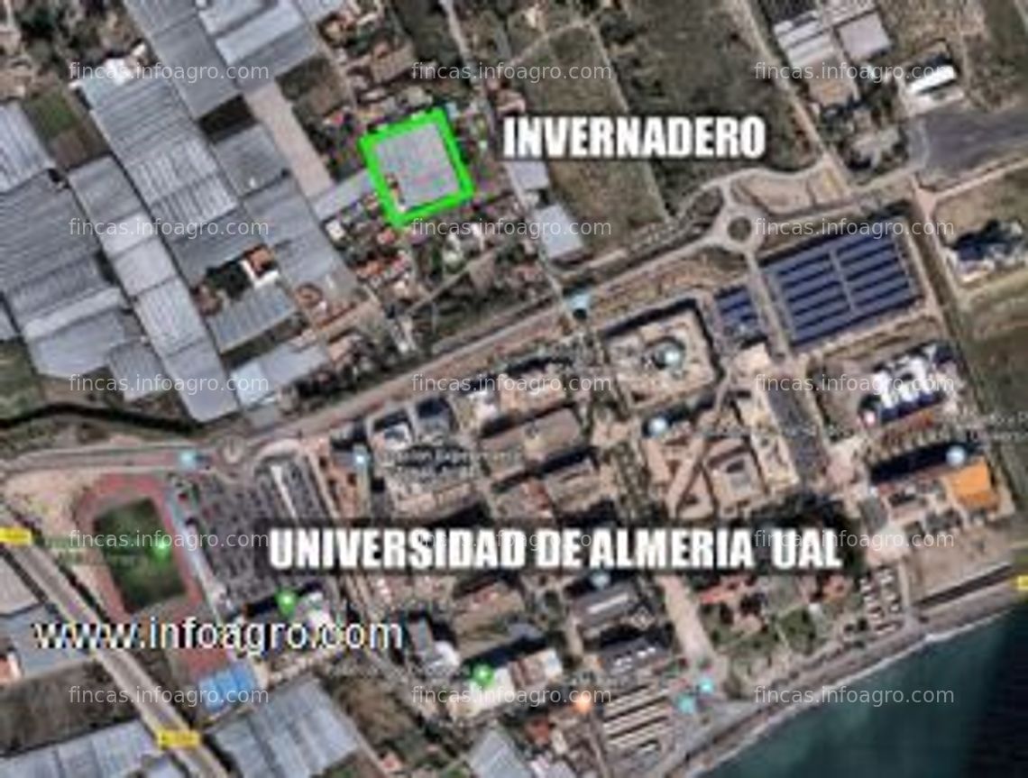 Fotos de Se vende invernadero en La Cañada de San Urbano y 3 viviendas independientes- Almería 