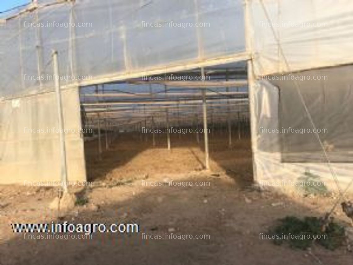 Fotos de En venta  finca agrícola de invernaderos con agua de excelente calidad en murcia. propiedad particular