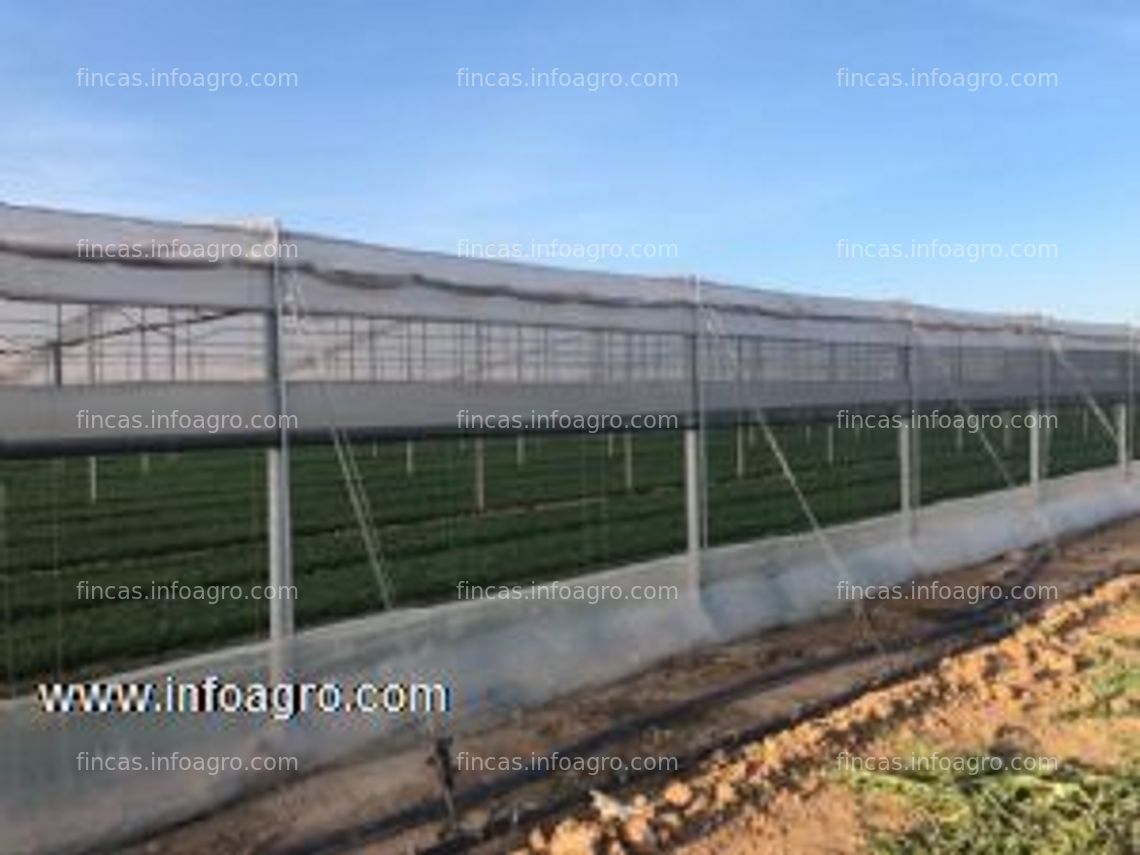 Fotos de En venta  finca agrícola de invernaderos con agua de excelente calidad en murcia. propiedad particular