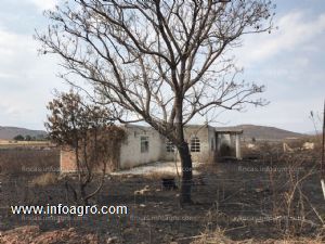 A la venta terreno industrial, agricola o ganadero en guadalajara mexico