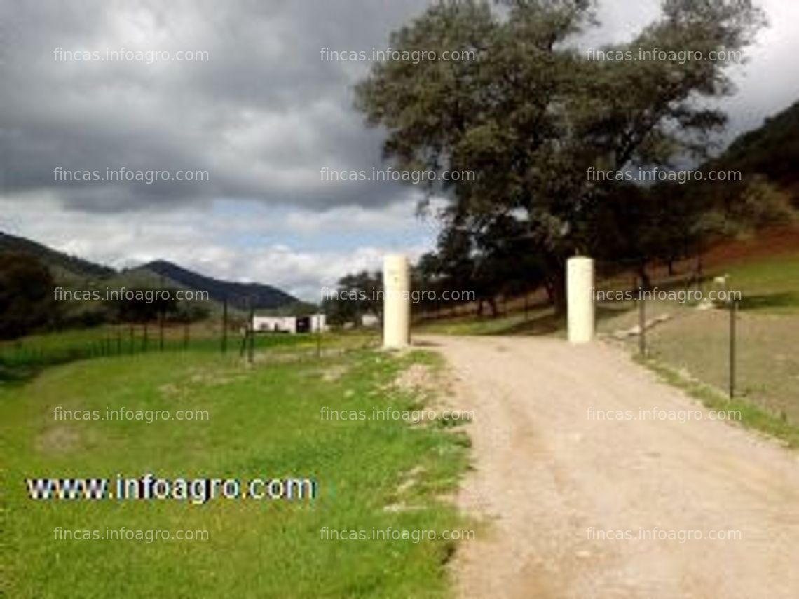 Fotos de En venta  de finca ganadera en cazalla de la sierra  (sevilla) a 8km del pueblo.