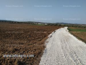 En venta  finca de 7,3 ha de tierra arable en campillos