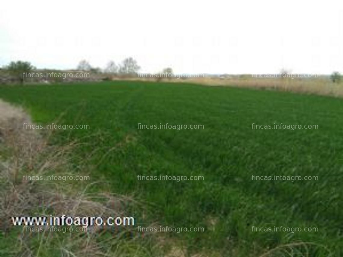 Fotos de Vendo terreno agrícola de regadio