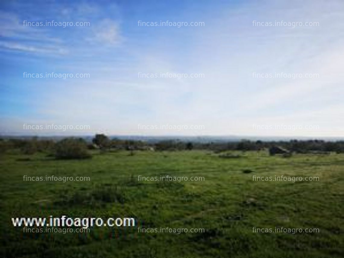 Fotos de En venta  de magnifica finca en don benito (badajoz)