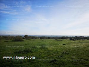 En venta  de magnifica finca en don benito (badajoz)