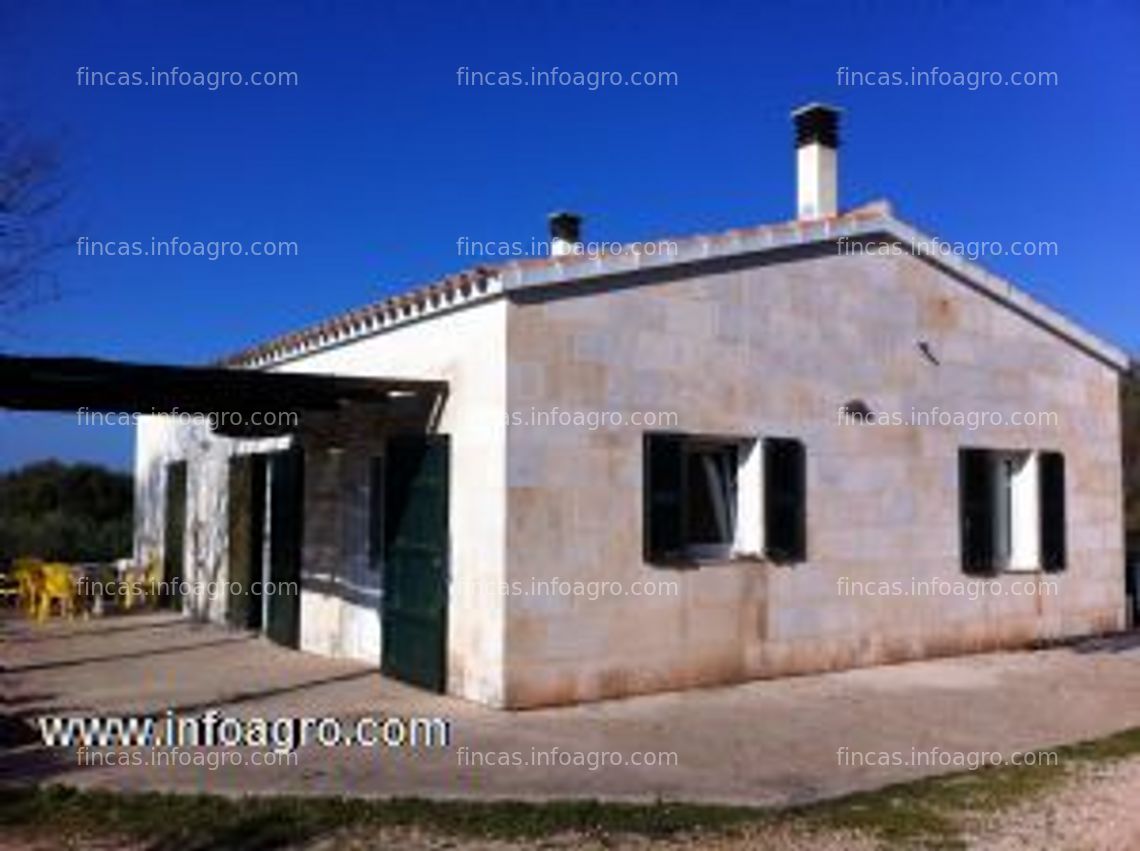 Fotos de Vendo finca molino de aceite en ciutadella de menorca