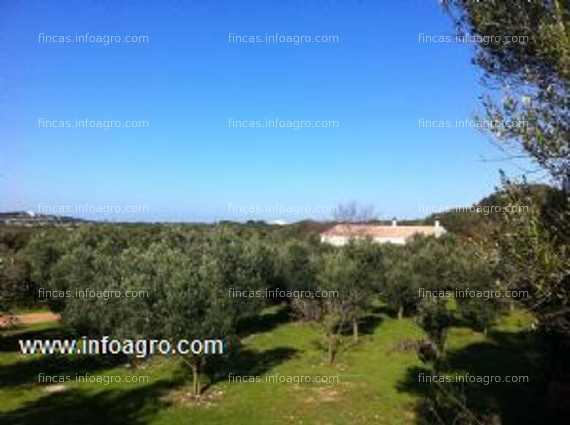 Fotos de Vendo finca molino de aceite en ciutadella de menorca