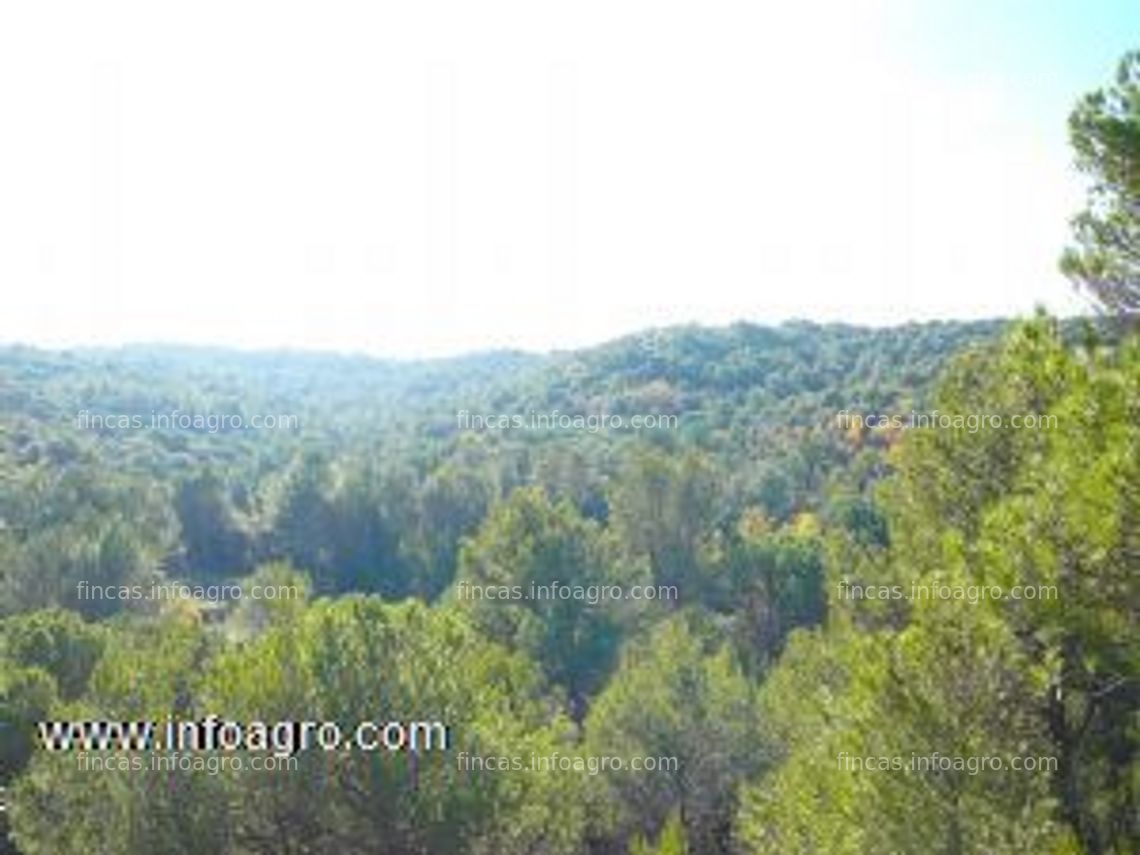 Fotos de A la venta terreno rustico en st llorens de savalls