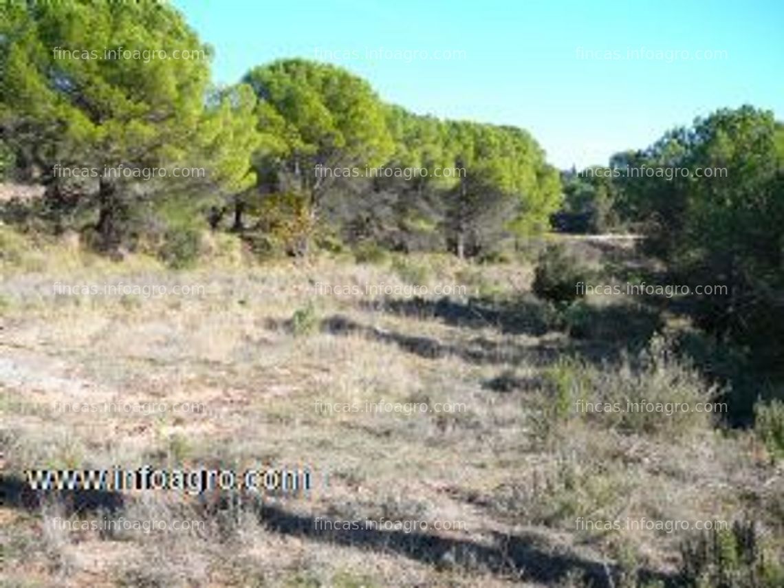 Fotos de A la venta terreno rustico en st llorens de savalls