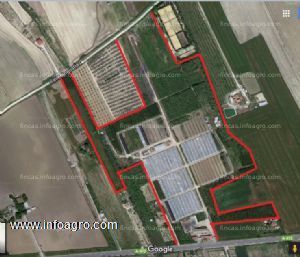 En venta  terreno agrícola 10ha