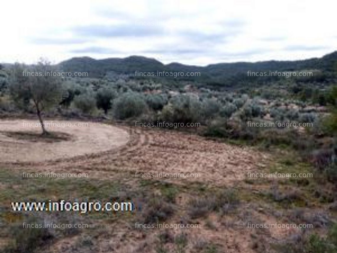 Fotos de En venta  casa rural en finca en belmonte de san jose