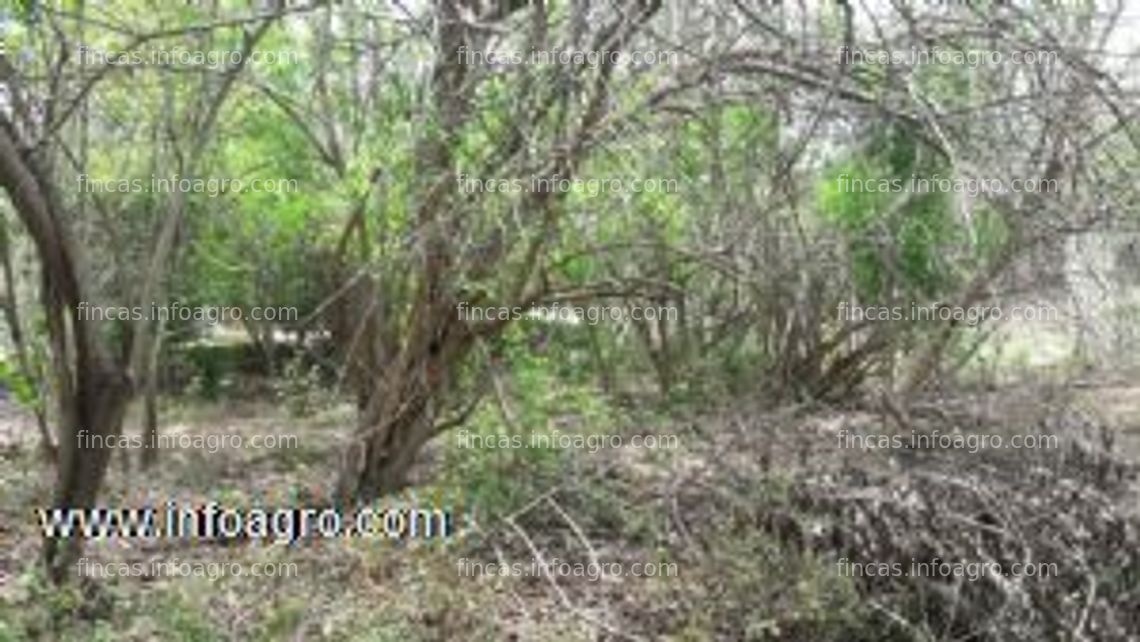 Fotos de En venta  terreno en zipolite