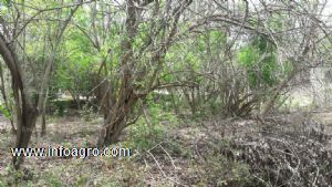 En venta terreno en zipolite