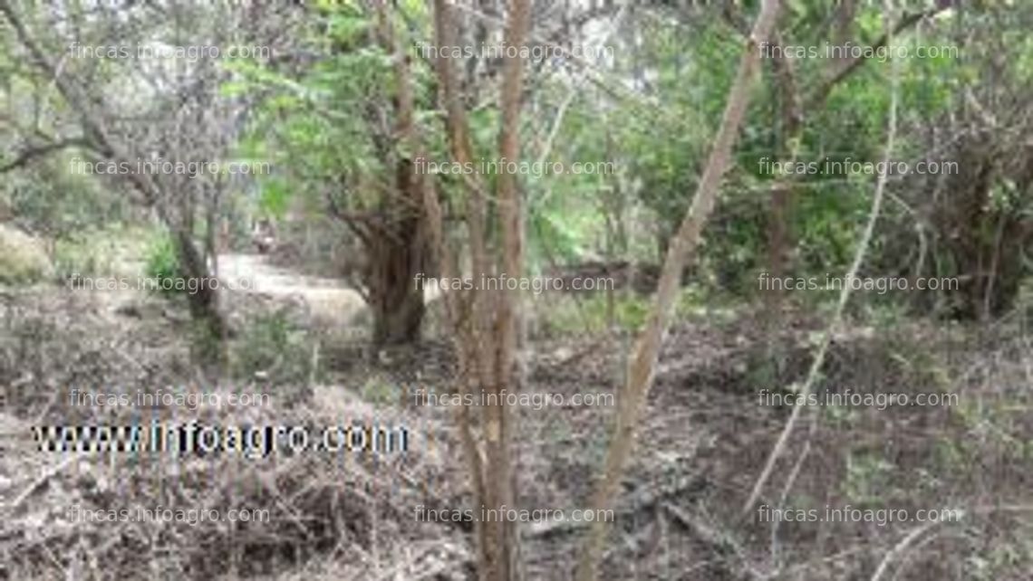 Fotos de En venta  terreno en zipolite