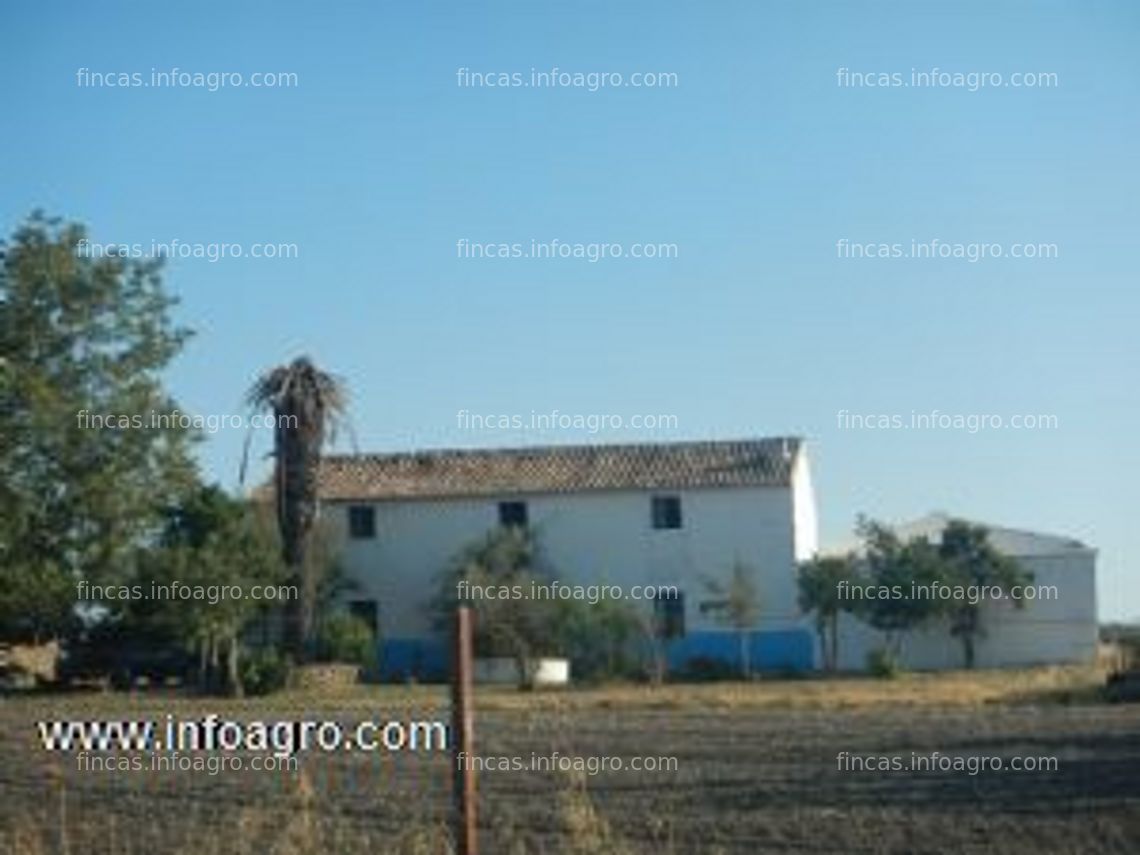 Fotos de A la venta cortijo andaluz alcalá del valle, cadiz