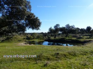 En venta  de finca rústica en serradilla