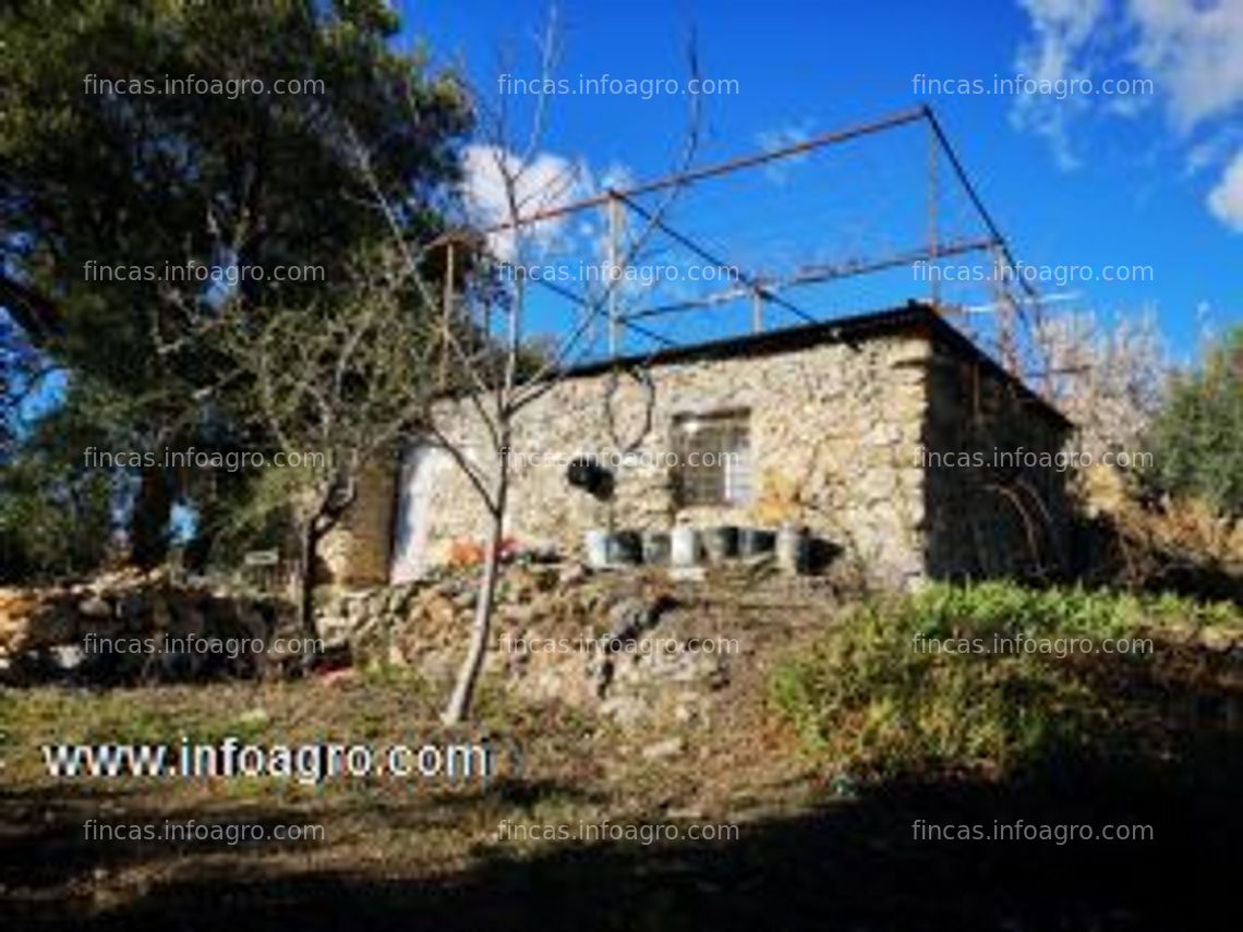 Fotos de Se vende finca en lanjaron con impresionante paisaje.