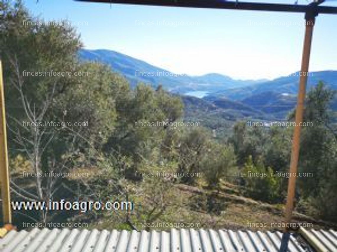 Fotos de Se vende finca en lanjaron con impresionante paisaje.