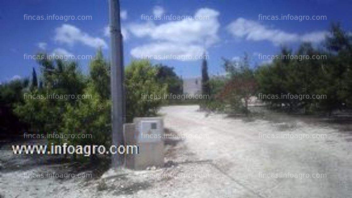 Fotos de Vendo finca de regadío en plena producción de melocotoneros, con instalación eléctrica, sistema automatizado de regadío y abono, con casa y almacenes. en cieza.