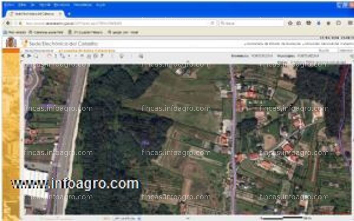 Fotos de Vendo finca edificable en lusquiños-tomeza (pontevedra)