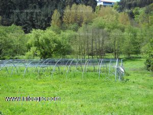 En venta finca rustica con terreno