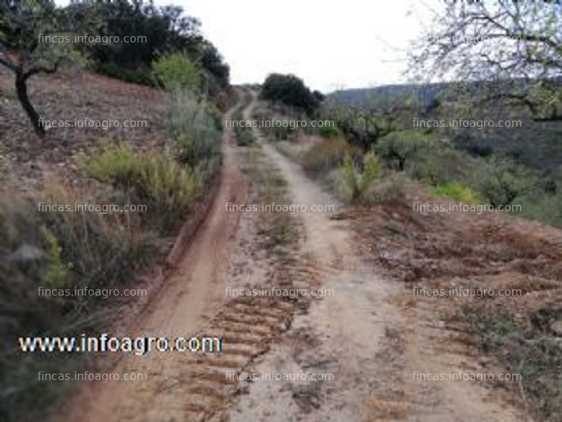 Fotos de Vendo oportunidad finca rustica en turon