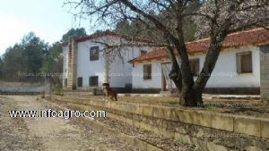 Vendo dos casas en la montaña con 3000 metros de terreno y una nave