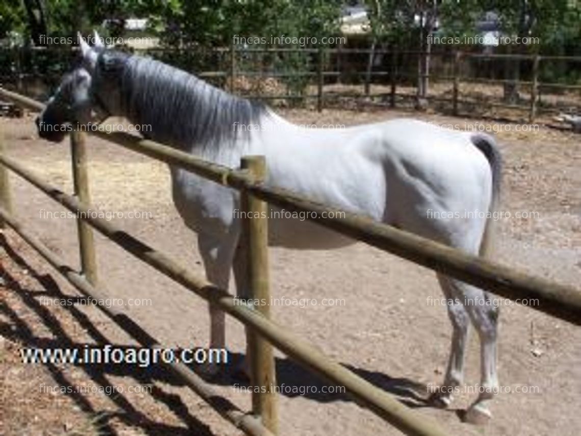 Fotos de En venta  finca de recreo