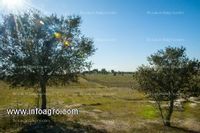 Fotos de Se vende de terreno/parcela por metros cuadrados