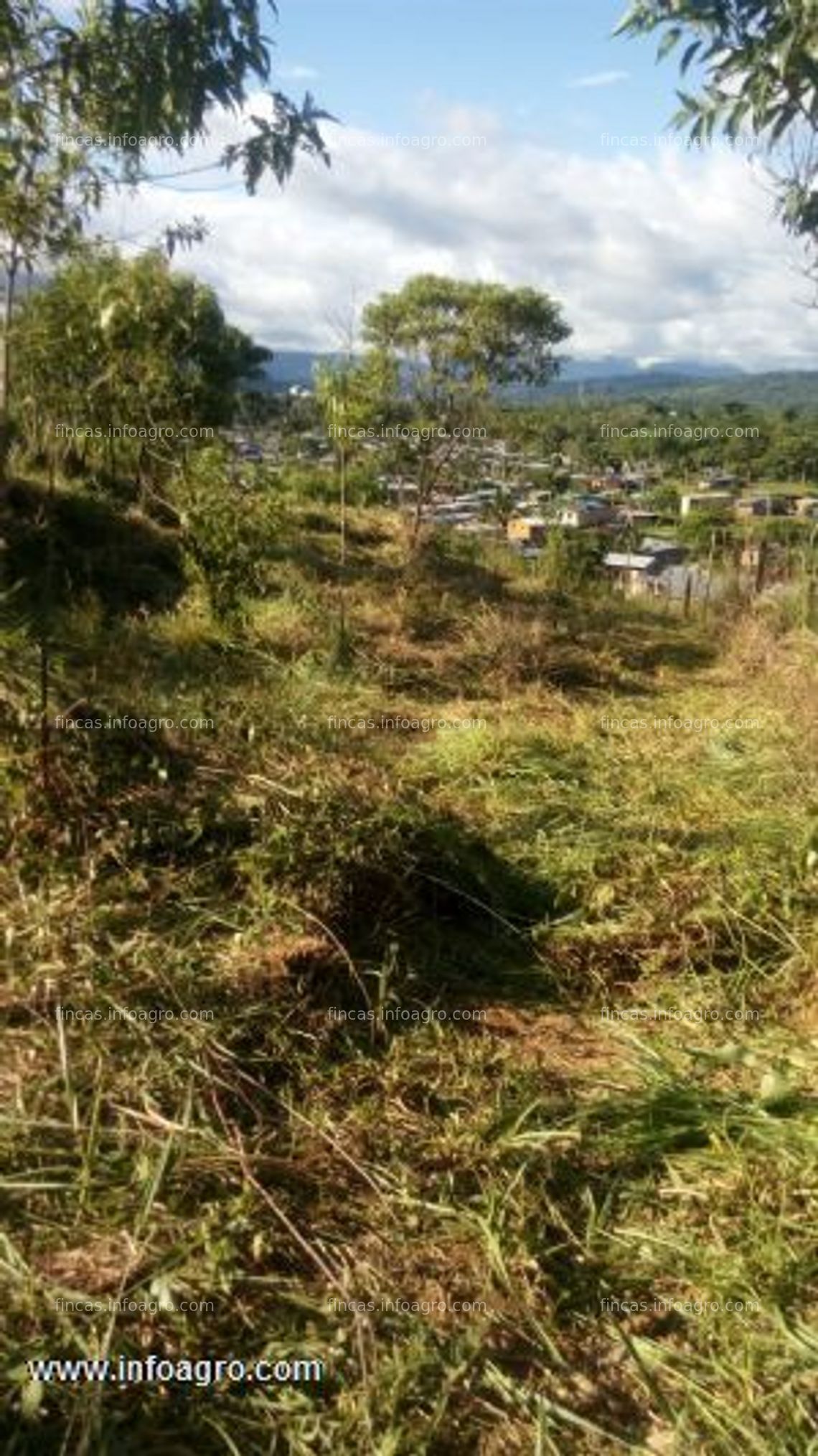 Fotos de Se vende terreno en orito putumayo