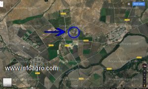 En venta finca de regadío de 6,05 hectáreas en jerez de la frontera