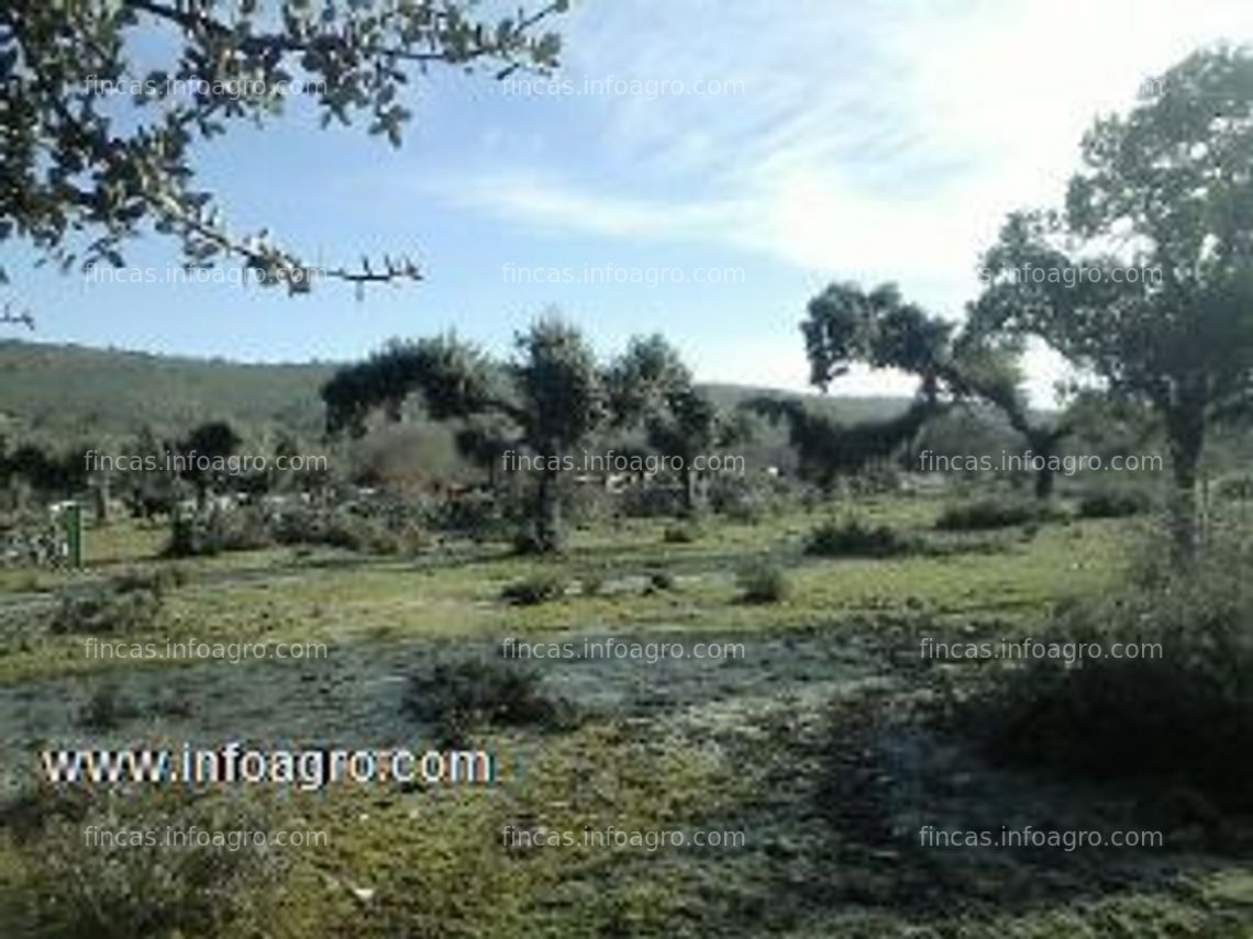 Fotos de En venta  preciosa finca -dehesa 300 ha en zamora