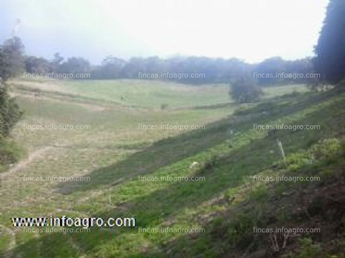 Fotos de En venta  inmobiliaria dumont vende estupenda finca agricola con 2 casas en el cobre tachira venezuela.