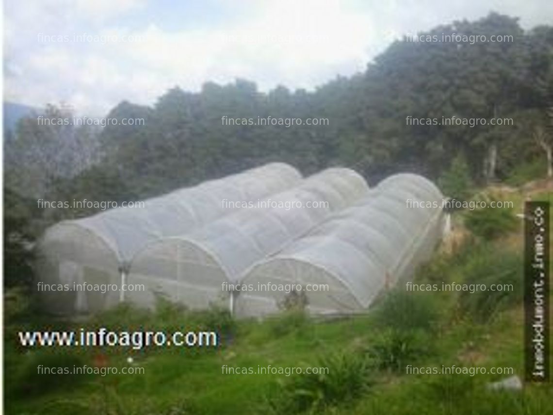 Fotos de En venta  inmobiliaria dumont vende estupenda finca agricola con 2 casas en el cobre tachira venezuela.