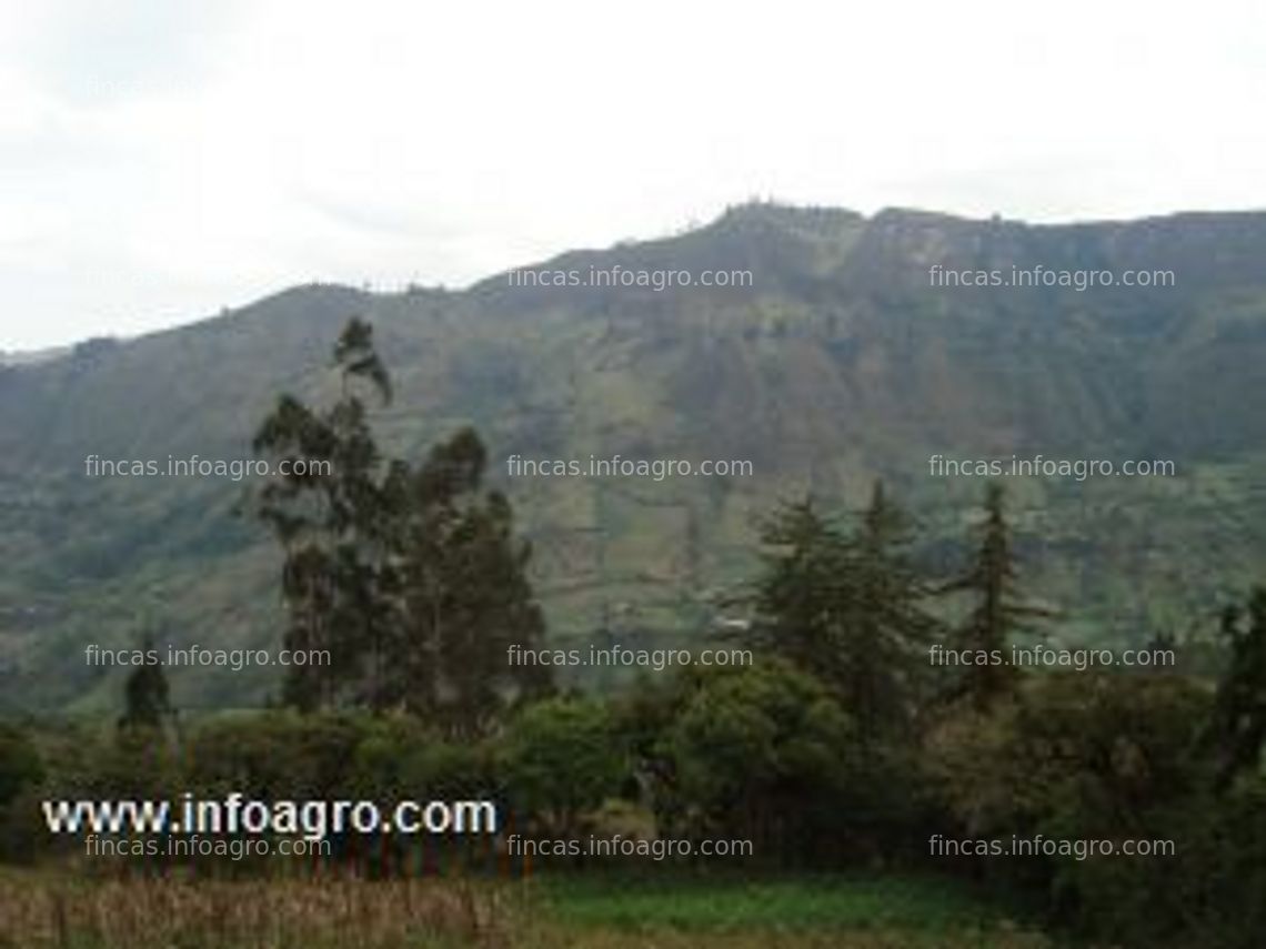 Fotos de En venta  finca productora de arándanos azules