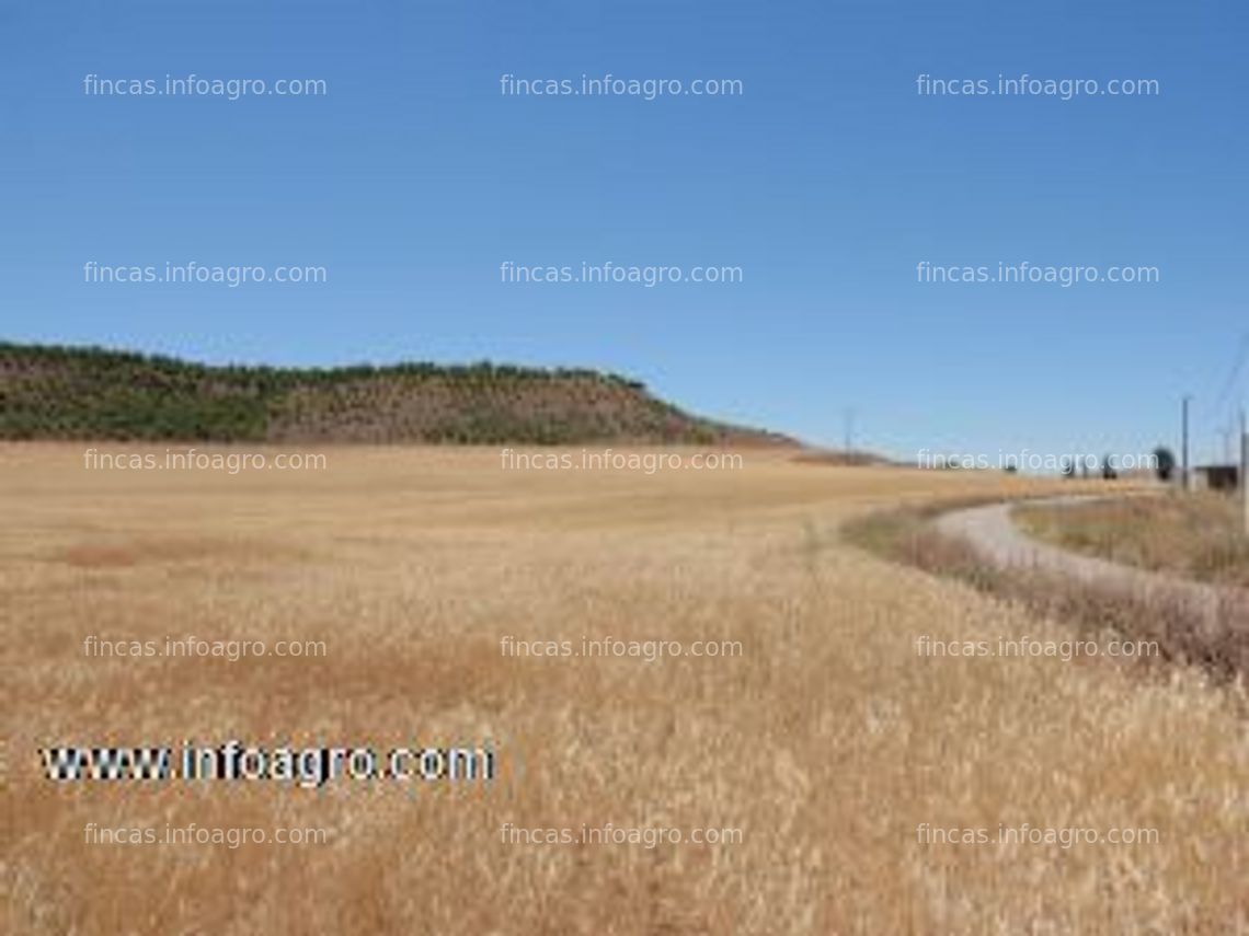 Fotos de Vendo Finca rústica 45.000 m² aprox. monte Fontellas (Tudela-Navarra)-canal de lodosa