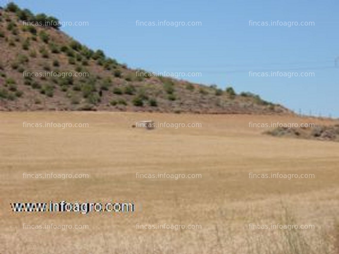 Fotos de Vendo Finca rústica 45.000 m² aprox. monte Fontellas (Tudela-Navarra)-canal de lodosa