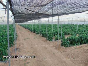 A la venta finca de 3 hectáreas  para el cultivo horto-fruticola