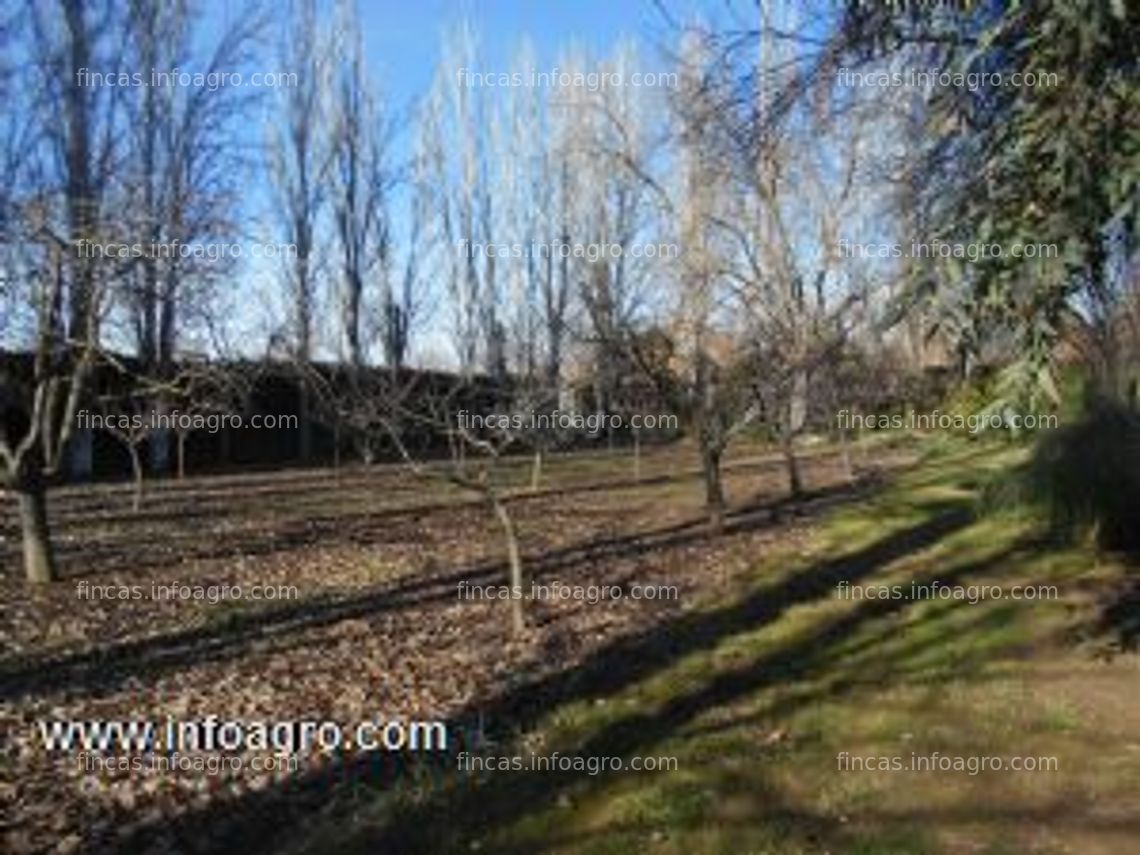 Fotos de En venta  parcela urbanizable 3.500m y 12 hectarias de rustico en la zona  del cortijo - aranjuez