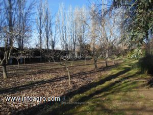 En venta  parcela urbanizable 3.500m y 12 hectarias de rustico en la zona  del cortijo - aranjuez