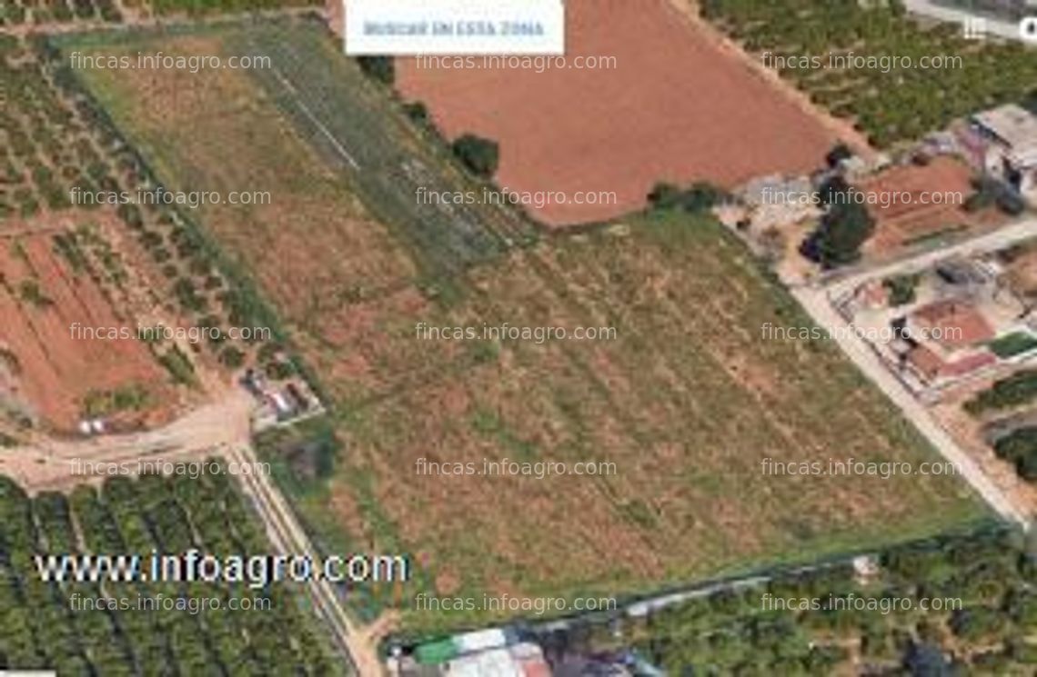 Fotos de En venta  campo en masia de don pedro, torrent (valencia)