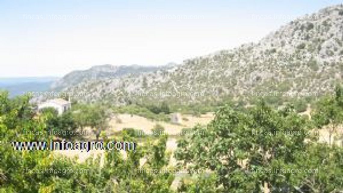 Fotos de En venta  oportunidad!!! de alojamiento rural en la sierra de cádiz con dos viviendas de 3 dormitorios cada una