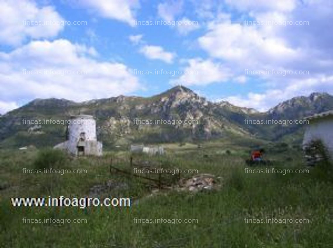 Fotos de Vendo finca casarabonela 56000 m2, 250 m2 urbanizables, 130000€